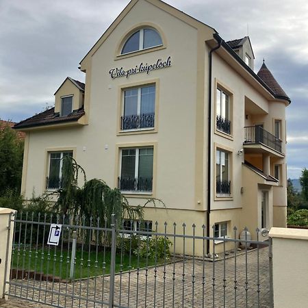 Vila Pri Kupeloch Бойнице Екстериор снимка